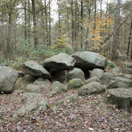Großsteingrab in der Kunkenvenne