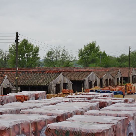 Group Of Summer Drying Sheds At  William Blyth Hoe Hill Yard