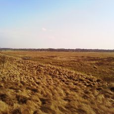 Dellstedter Birkwildmoor