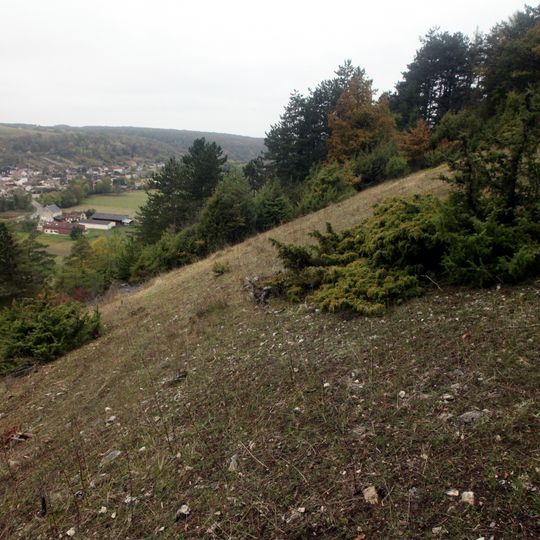 Pelouse De La Côte De L'Étang