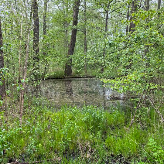 Weihergebiet Maxhütte
