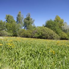 Chvalšovické pastviny