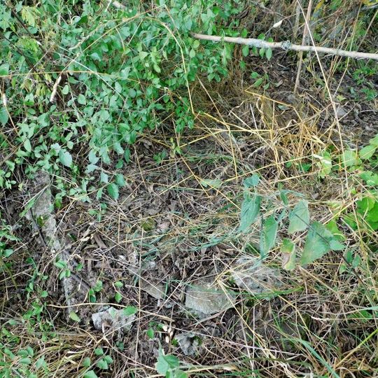 Mischkova kaple mezi Verušicemi a Žluticemi