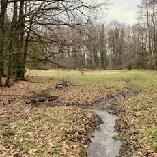 Novodvorský močál