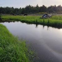 Рокевей-Біч