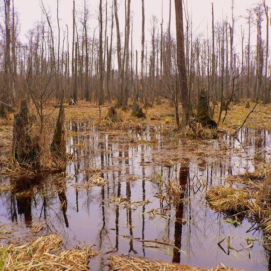 Kampinos National Park