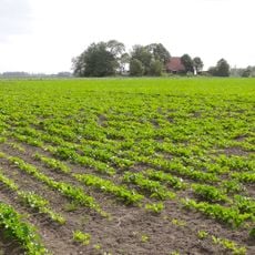 Verhoogde woonplaats