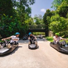 Luge Trail