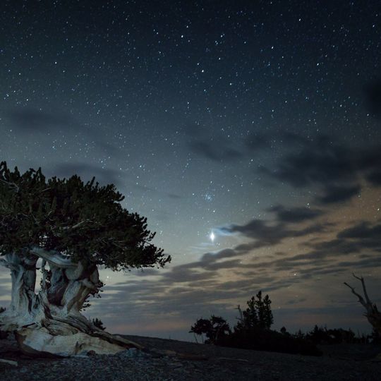Parco nazionale del Great Basin