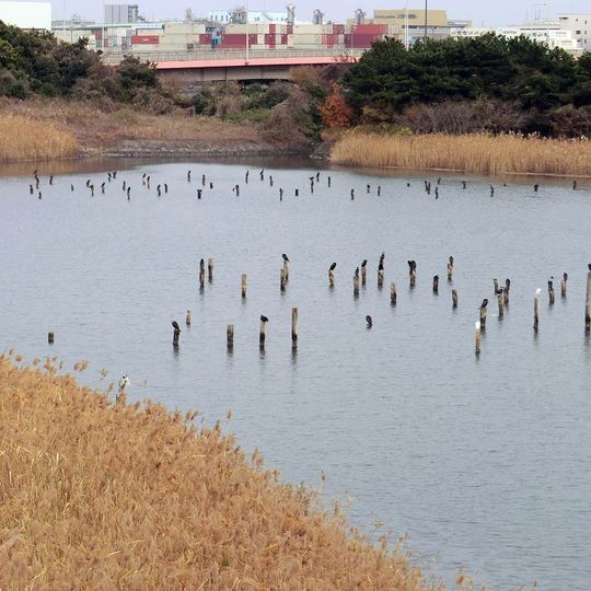 Tokyo Wild Bird Park