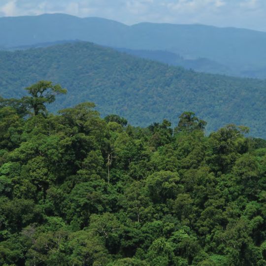 Sierra Madre