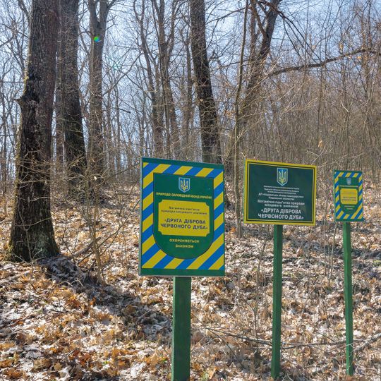 The 2nd red oak wood