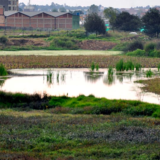 El humedal del burro