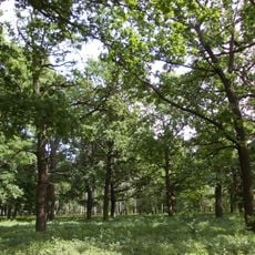 Khorolskyi Botanical Garden