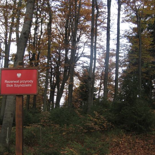 Rezerwat przyrody Stok Szyndzielni