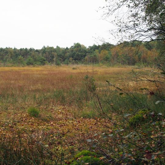 Breites Moor