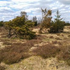 Löwenstedter Sandberge
