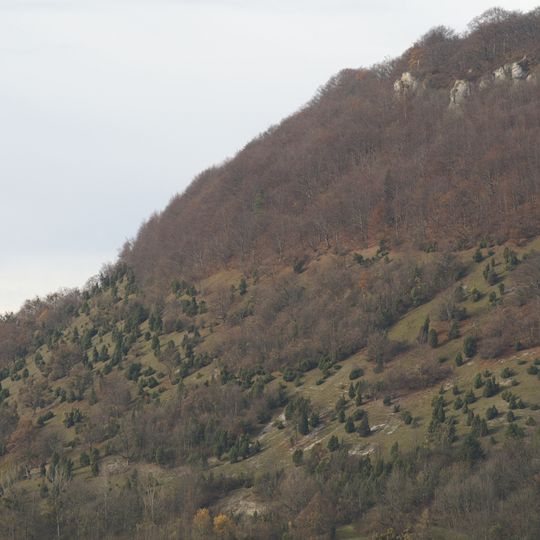 Nordalbhänge: Ottenwang-Ungerhalde-Sommerberg