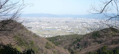 The view 0