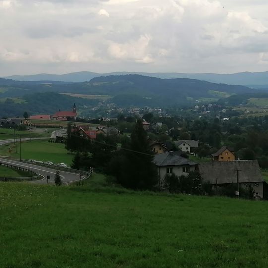 Czaszyn