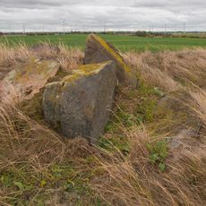 Großsteingrab Schönfeld