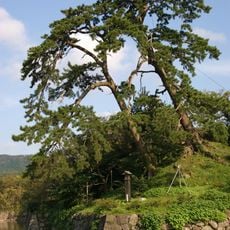 Shikano Castle