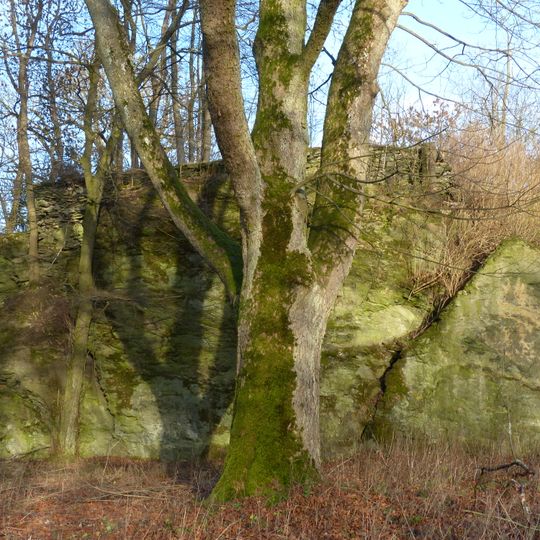 Burgruine Braunstein