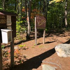 Upton-Morgan State Forest