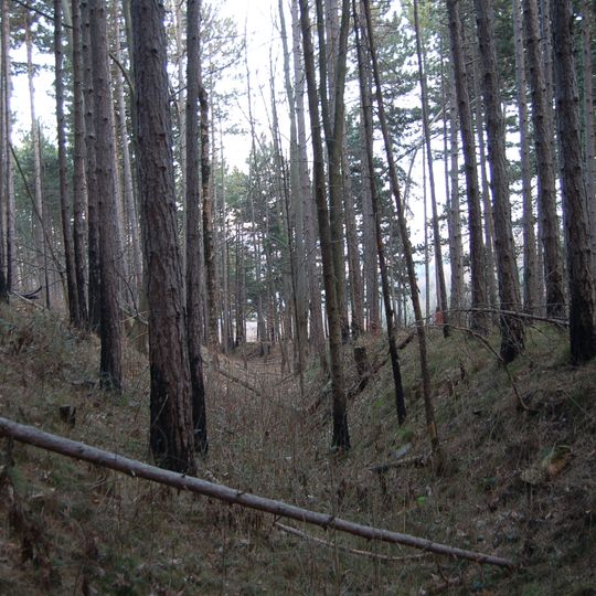 Befestigte Höhensiedlung Schlossberg