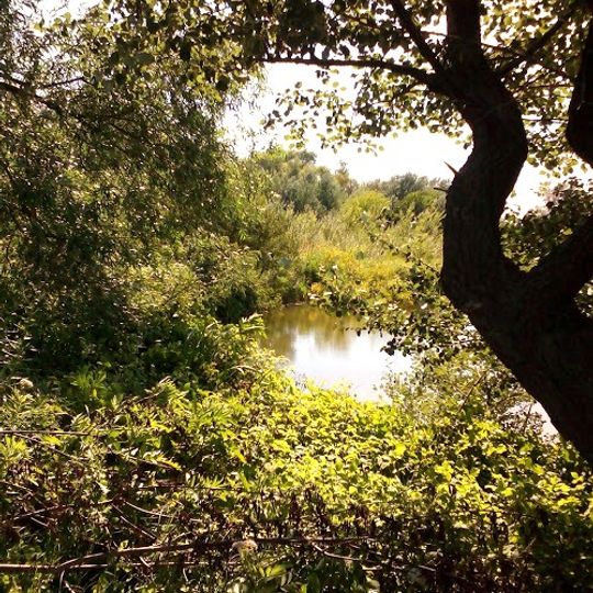 Специјални резерват природе Брзанско Моравиште