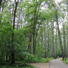 Yugo-Zapadniy forrest park