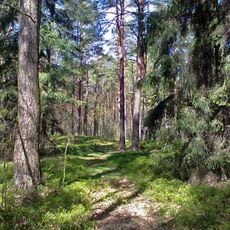 Rezerwat przyrody Czarny Kąt