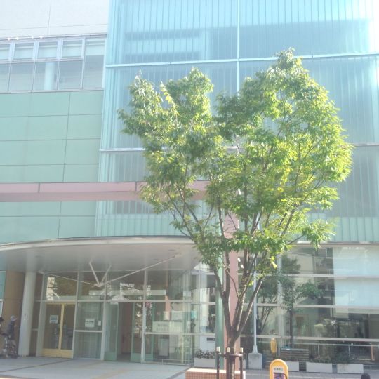 Osaka Municipal Tsurumi Library