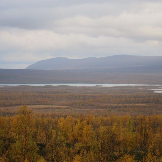 Ultevis fjällurskog