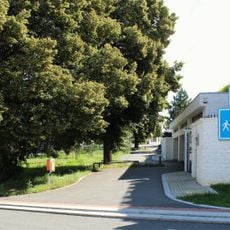 Lípy republiky (Bílá Hora)