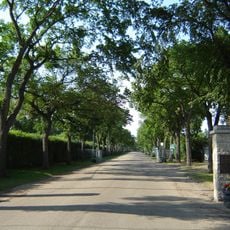 Woodlawn Cemetery