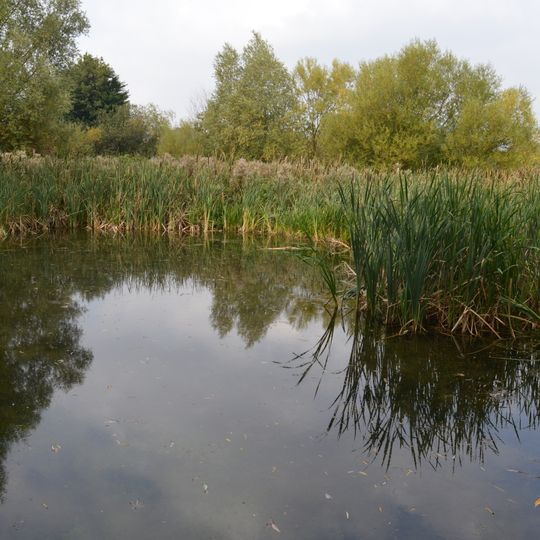 Stotfold Mill Meadows