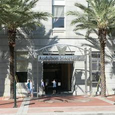 Audubon Insectarium
