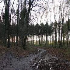 Landschaftsschutzgebiet Werler Wald