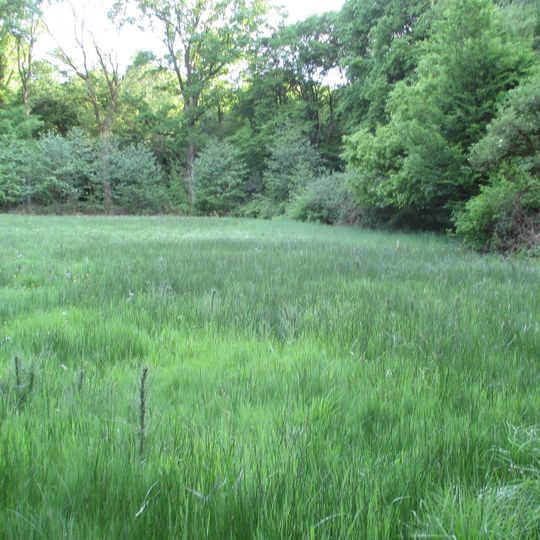 NSG Auberg undOberlaeufe des Wambaches