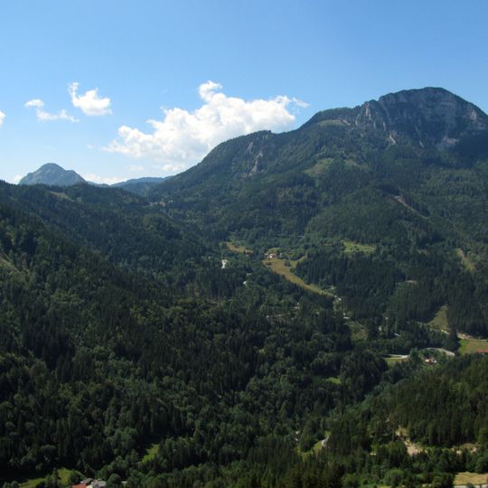 Kärntner Storschitz