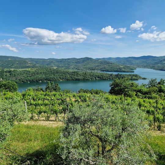 Viewpoint on Lake Butoniga
