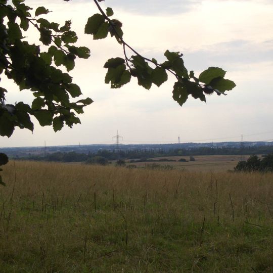 Warnowtal mit kleinen Zuflüssen