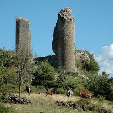 Château des comtes de Poitiers