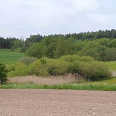 Feuchtflächen beim Gschwender Badsee