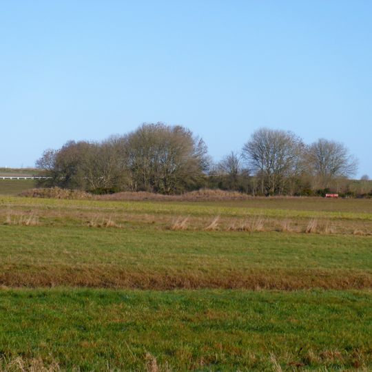 Ten barrows forming part of Fox Covert round barrow cemetery, West Down.