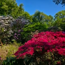 Isabella Plantation