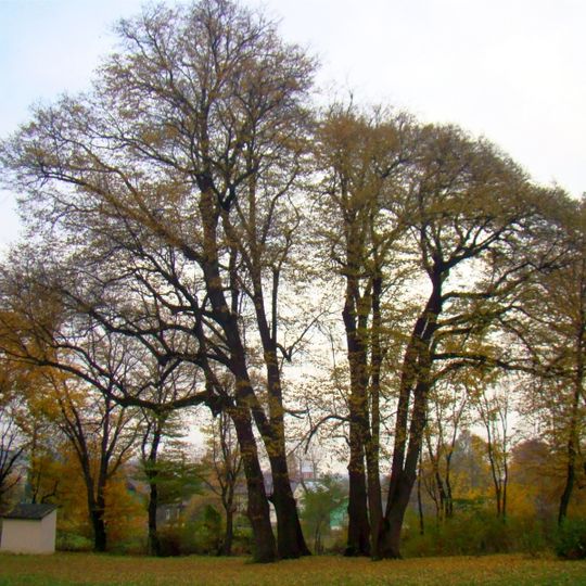 Park dworski z aleją dojazdową