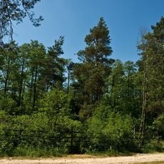 Nature reserve Kołacznia