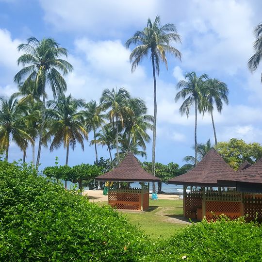 Mount Irvine Bay Beach